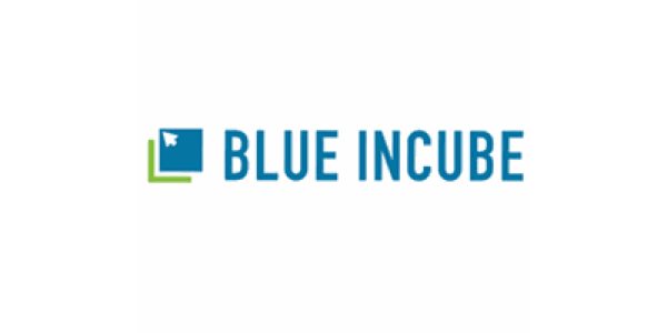 Blue InCube Pte. Ltd logo