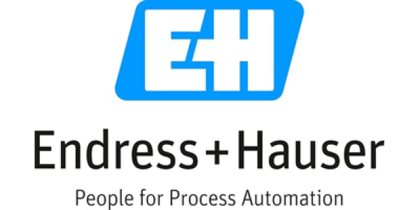Endress+Hauser (S.E.A.) Pte Ltd logo