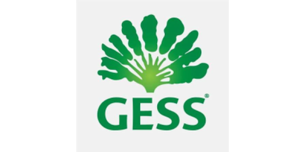 German European School Singapore logo