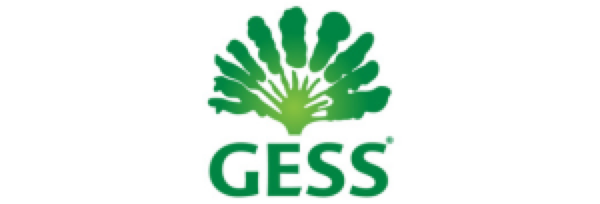 GESS logo