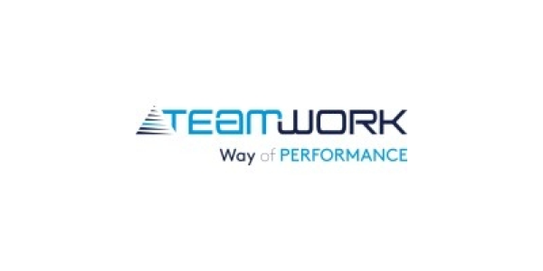 TeamWork Management Asia Headquarters Pte Ltd logo