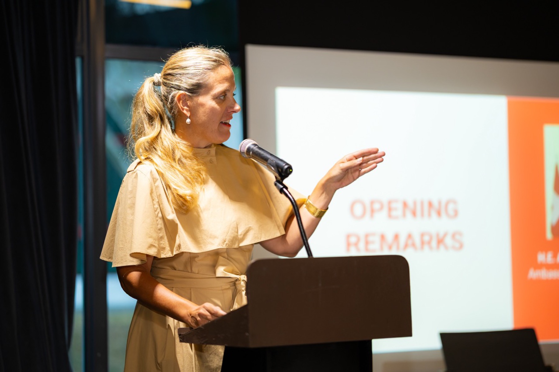 A speaker delivering the opening remarks
